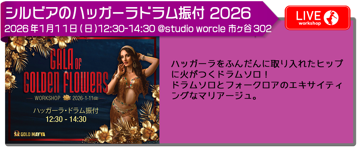 バナー_リンク_シルビア2026_ハッガーラドラム