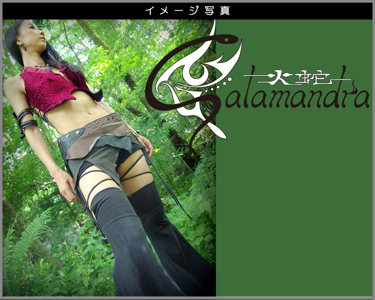 フュージョンパンツ