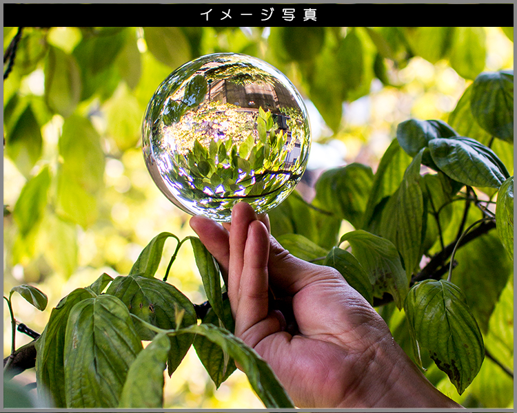 おこたんボール