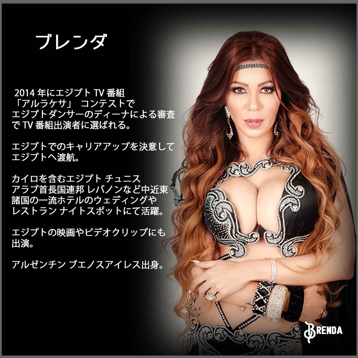 インフォブレンダワークショッププロフィール