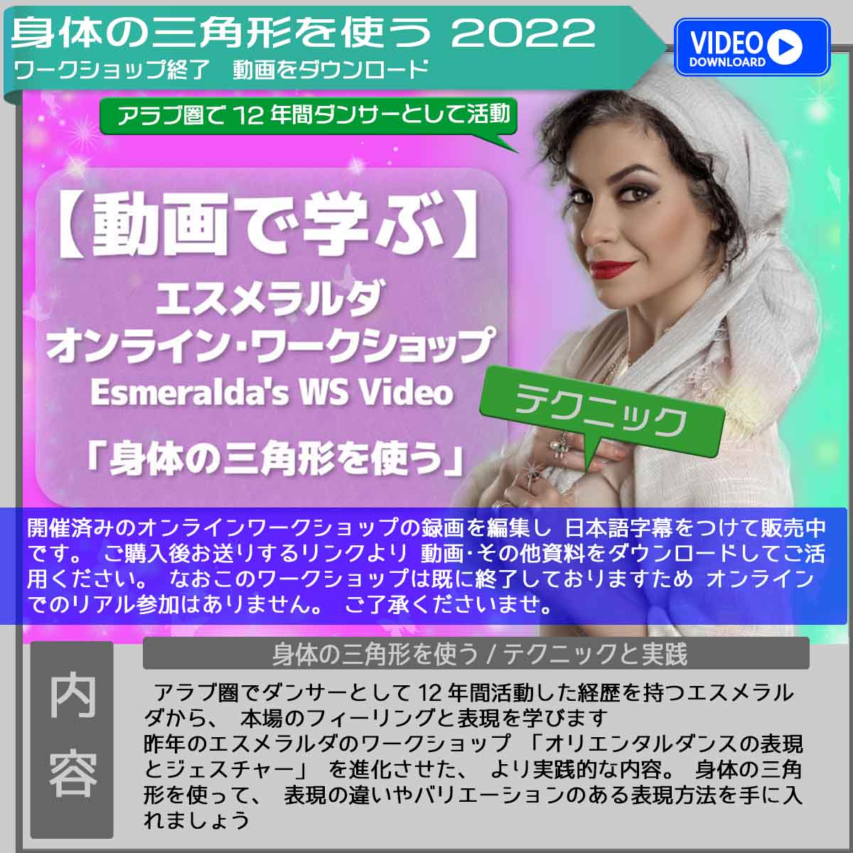 インフォエスメラルダワークショップ動画