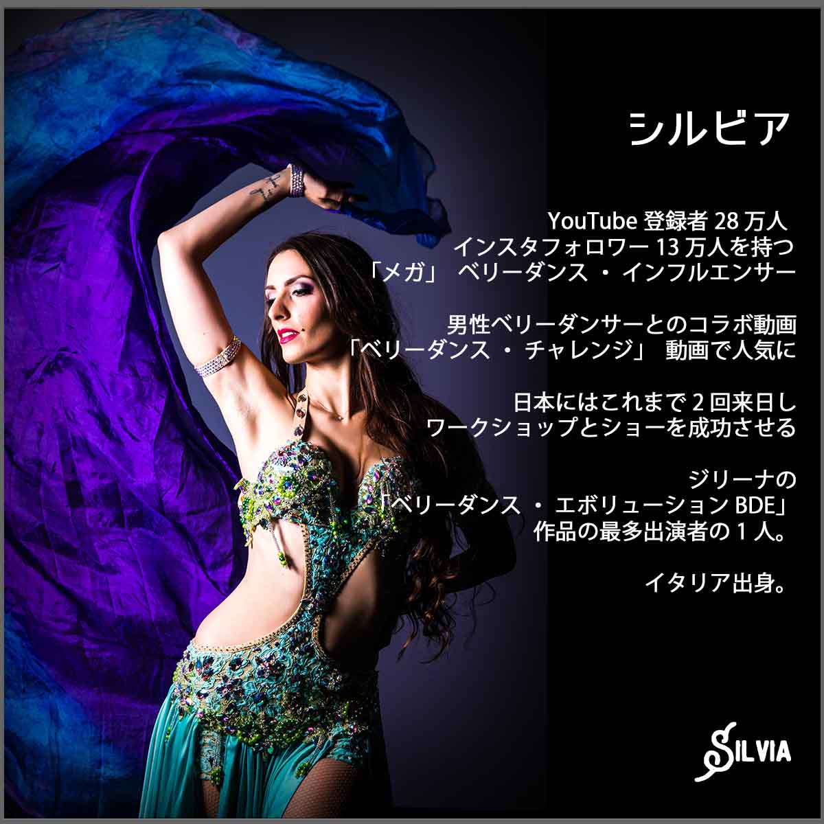 インフォシルビアワークショッププロフィール