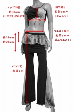 サイズ