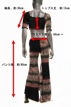 サイズ