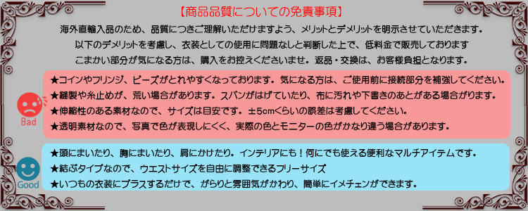 免責事項
