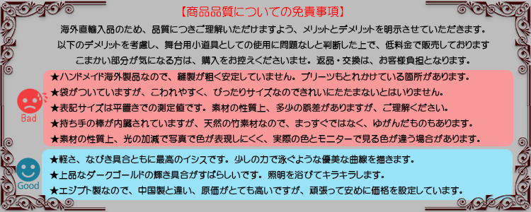 免責事項