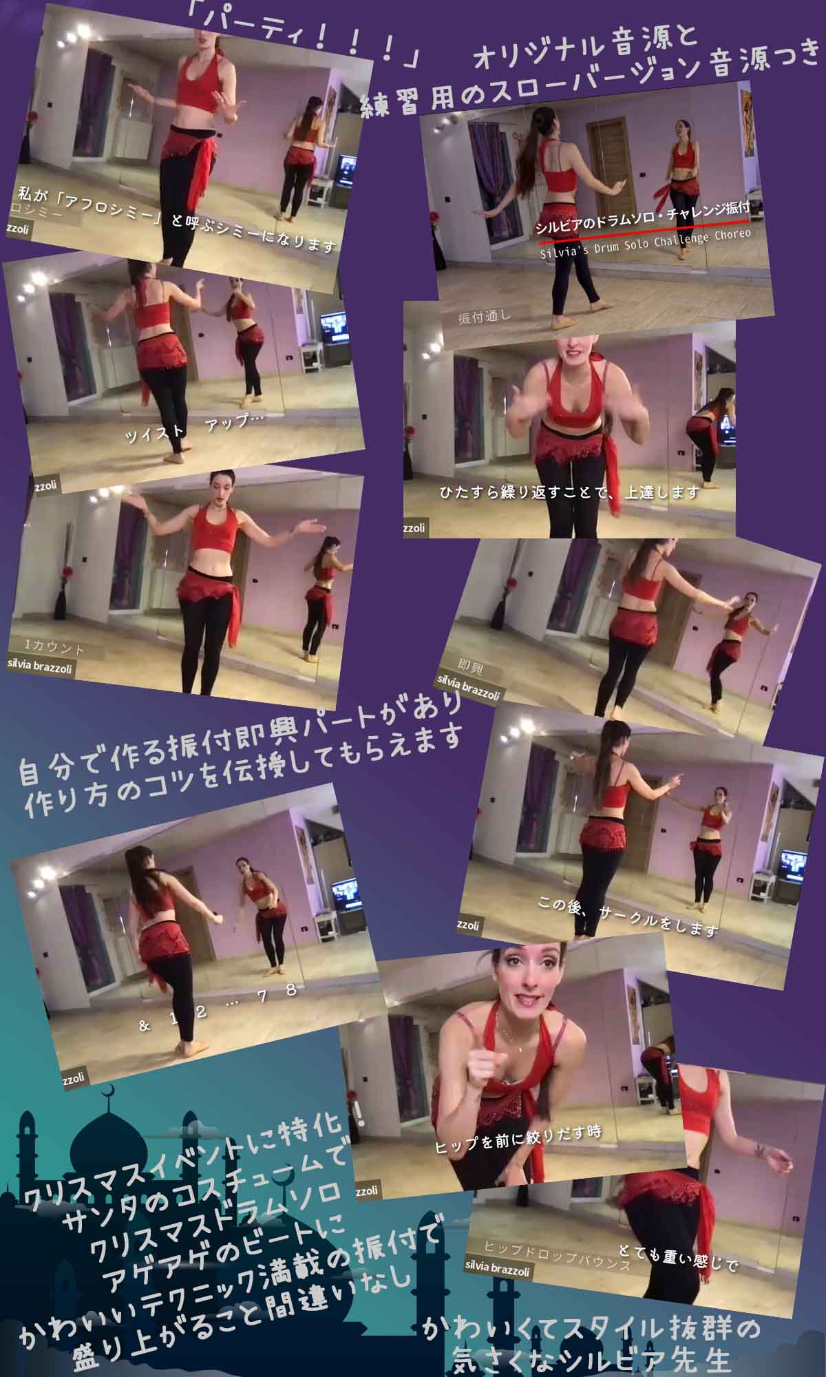 レポートシルビアワークショップ