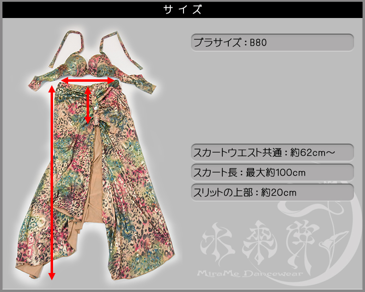 サイズ