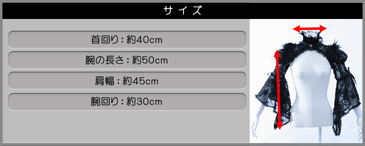 サイズ