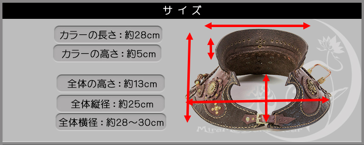 サイズ