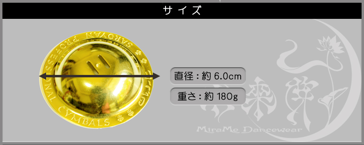 サイズ